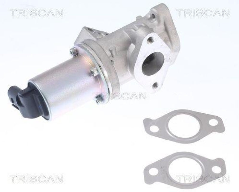 TRISCAN 8813 43024 Agr Ventil für Ssangyong