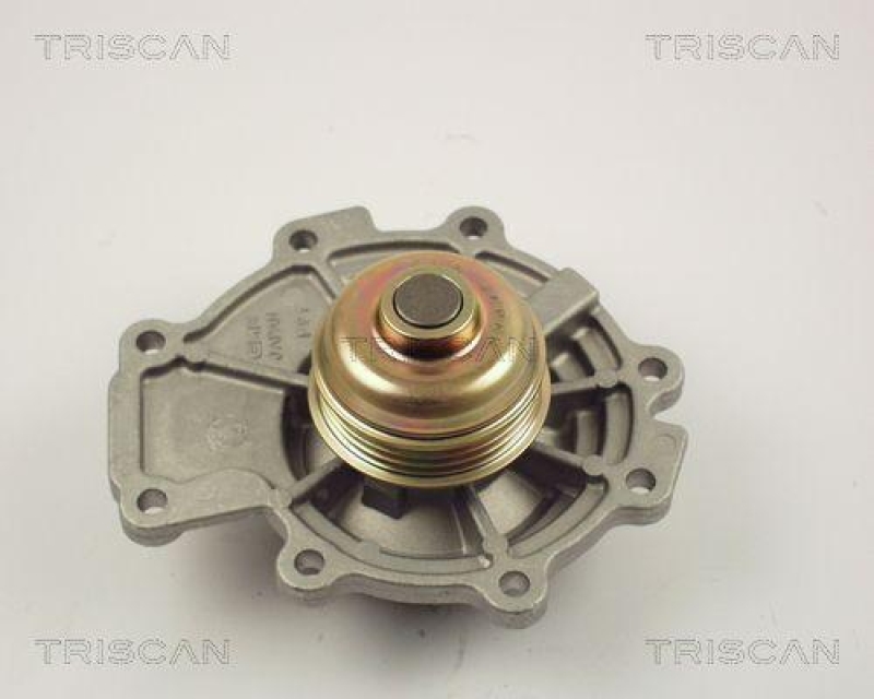 TRISCAN 8600 16011 Wasserpumpe für Ford Mondeo 2.5 V6