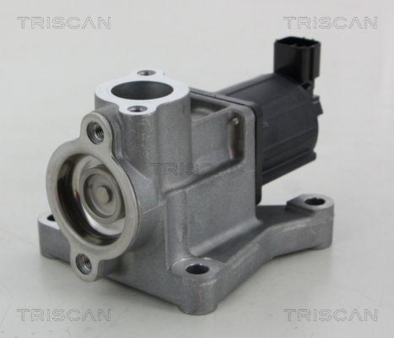 TRISCAN 8813 50015 Agr Ventil für Mazda