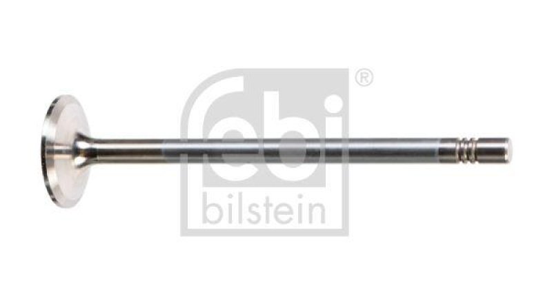 FEBI BILSTEIN 109319 Einlassventil für M A N