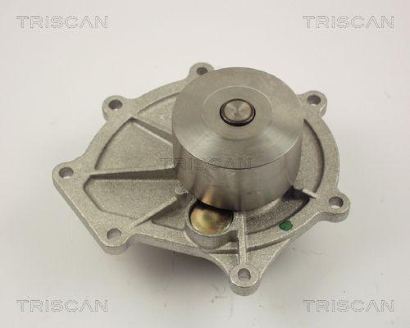 TRISCAN 8600 17009 Wasserpumpe für Rover