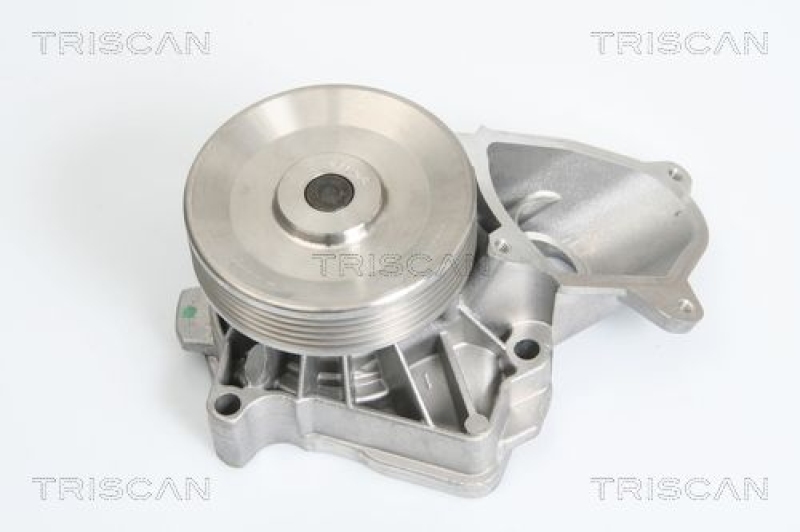 TRISCAN 8600 17010 Wasserpumpe für Rover