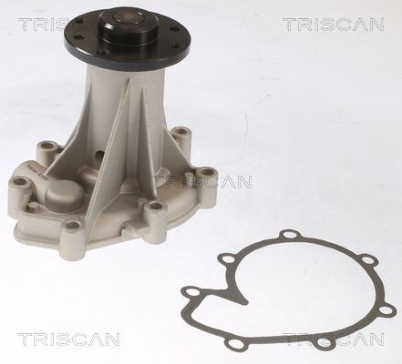 TRISCAN 8600 23091 Wasserpumpe für Ssangyong