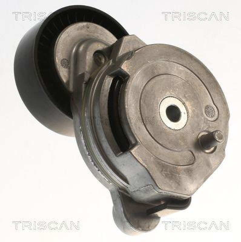 TRISCAN 8641 273005 Spannrolle für Volvo