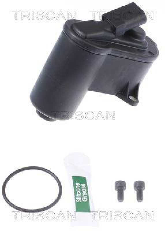 TRISCAN 8170 208024 Brake Caliper Motor für Audi, Seat, Vw