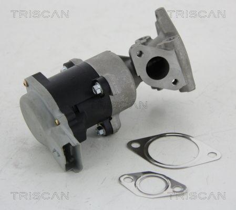 TRISCAN 8813 10008 Agr Ventil für Psa/Fiat/Gm