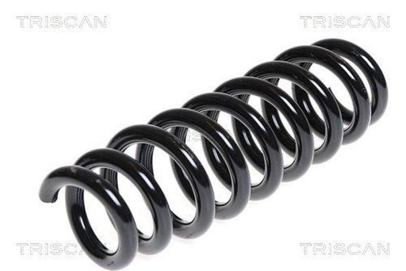 TRISCAN 8750 11108 Spiralfeder Hinten für Bmw E93