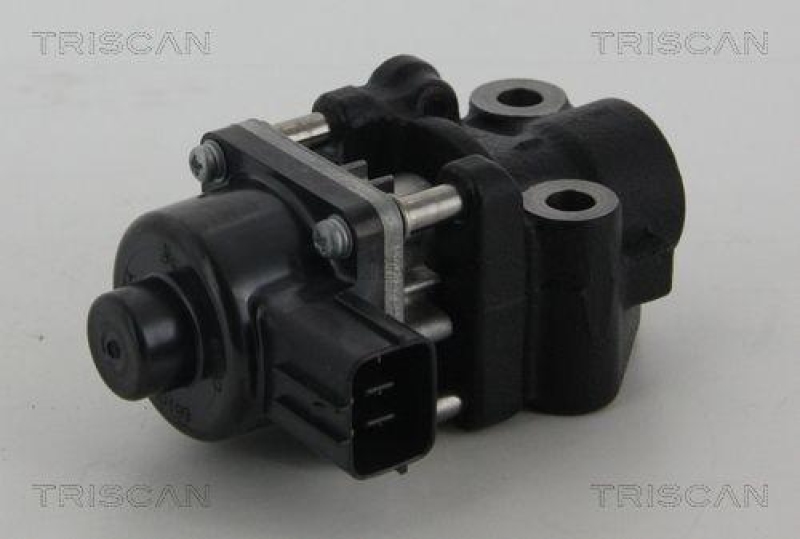 TRISCAN 8813 10013 Agr Ventil für Suzuki/Fiat