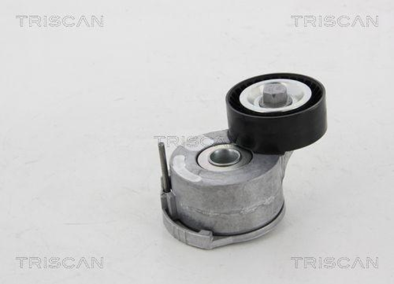 TRISCAN 8641 281026 Spannrolle für Citroen