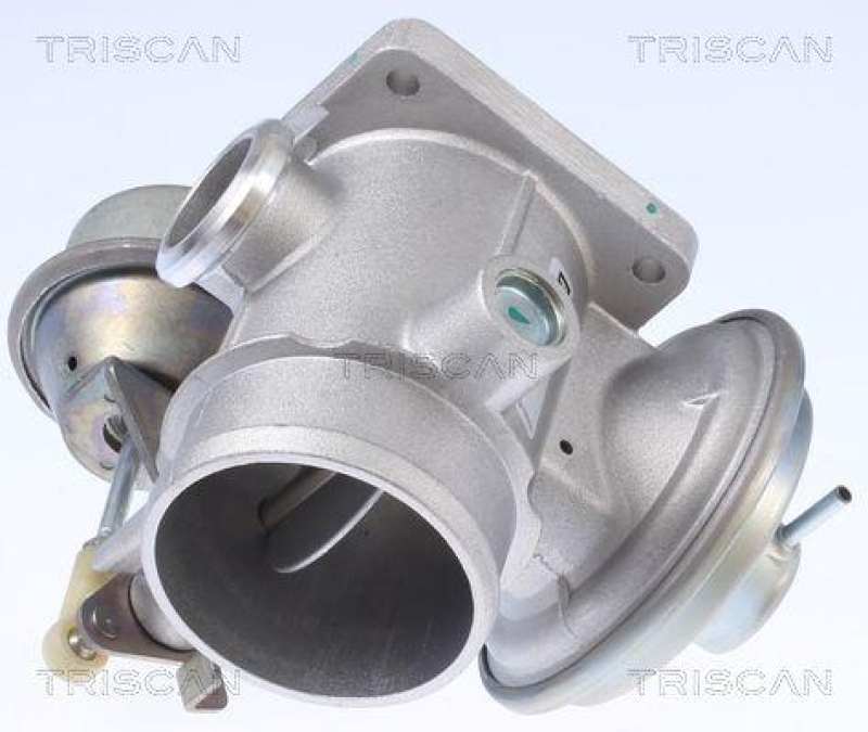 TRISCAN 8813 10034 Agr Ventil für Chrysler Voyager