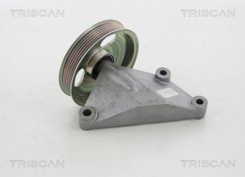 TRISCAN 8641 282021 Umlenkrolle für Citroen