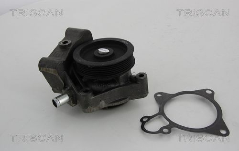 TRISCAN 8600 10031 Wasserpumpe für Psa, Fiat