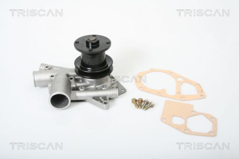 TRISCAN 8600 25080 Wasserpumpe für Renault: R4,R6,