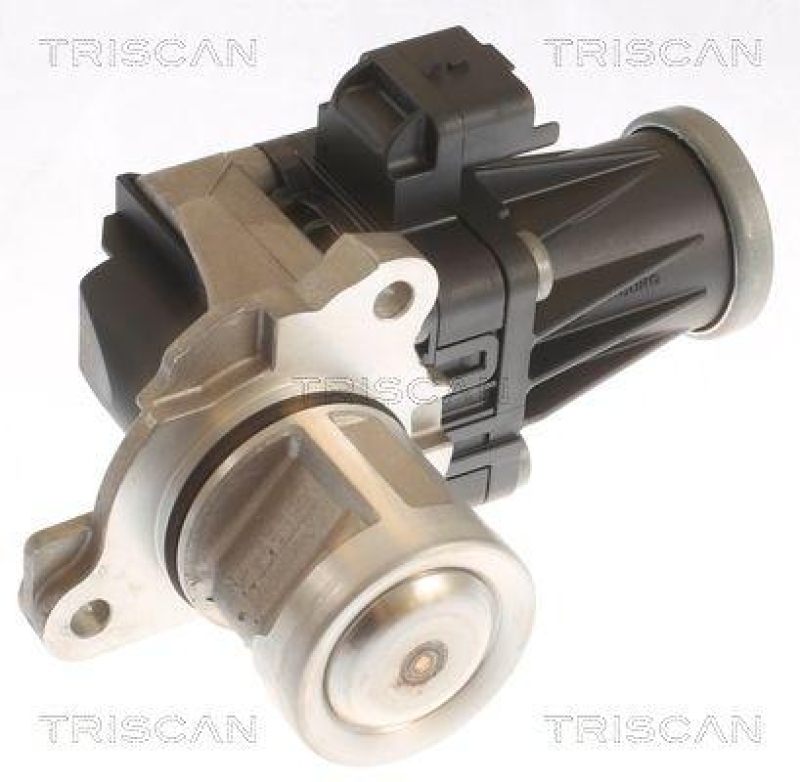 TRISCAN 8813 10053 Agr Ventil f&uuml;r Psa, Ford, Volvo