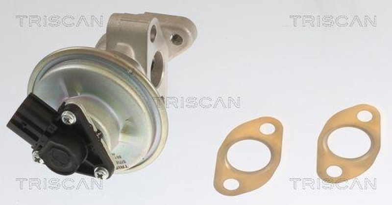 TRISCAN 8813 10054 Agr Ventil für Ford, Mazda