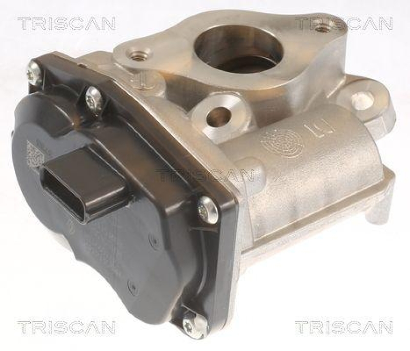 TRISCAN 8813 10055 Agr Ventil f&uuml;r Dacia, Renault, Mercedes