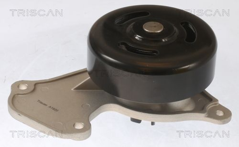 TRISCAN 8600 25095 Wasserpumpe für Nissan, Renault