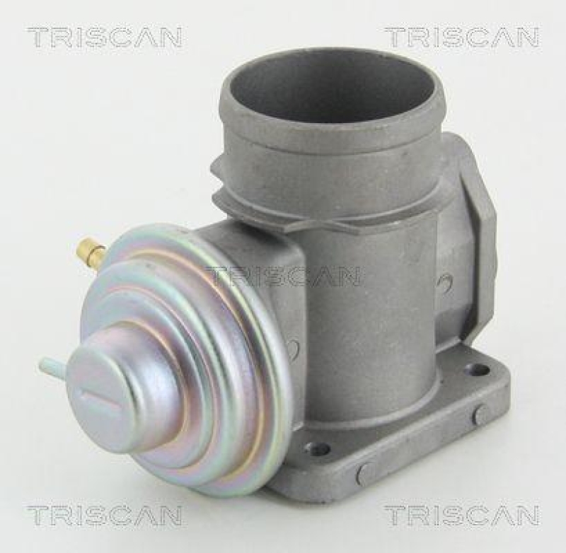 TRISCAN 8813 10101 Agr Ventil für Bmw/Opel