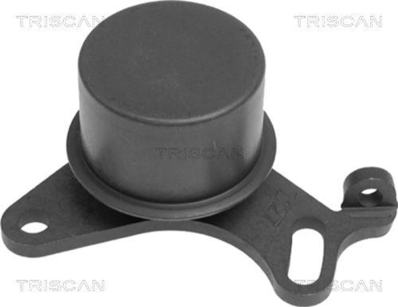 TRISCAN 8646 11101 Spannrolle für Bmw