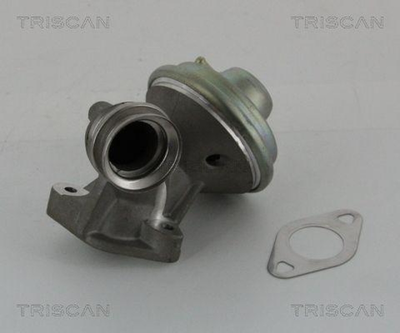 TRISCAN 8813 10102 Agr Ventil für Psa/Ford