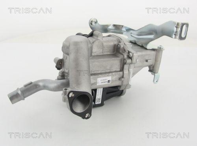 TRISCAN 8813 10103 Agr Ventil f&uuml;r Volvo/Ford/Psa