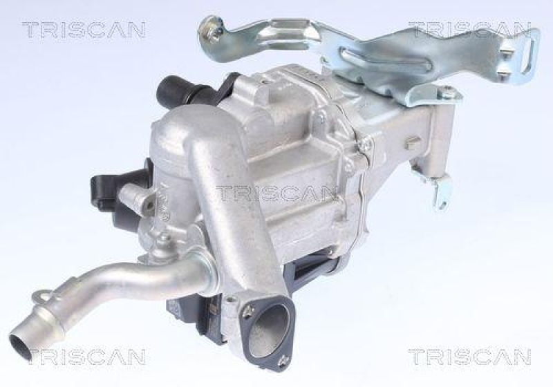 TRISCAN 8813 10106 Agr Ventil für Psa, Volvo, Ford