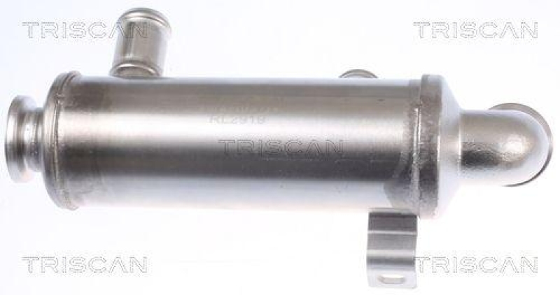 TRISCAN 8813 10111 Kühler, Abgasrückführung für Psa, Ford