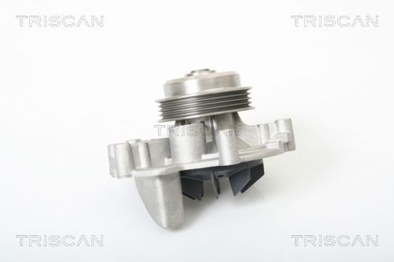 TRISCAN 8600 28006 Wasserpumpe für Citroen, Peugeot