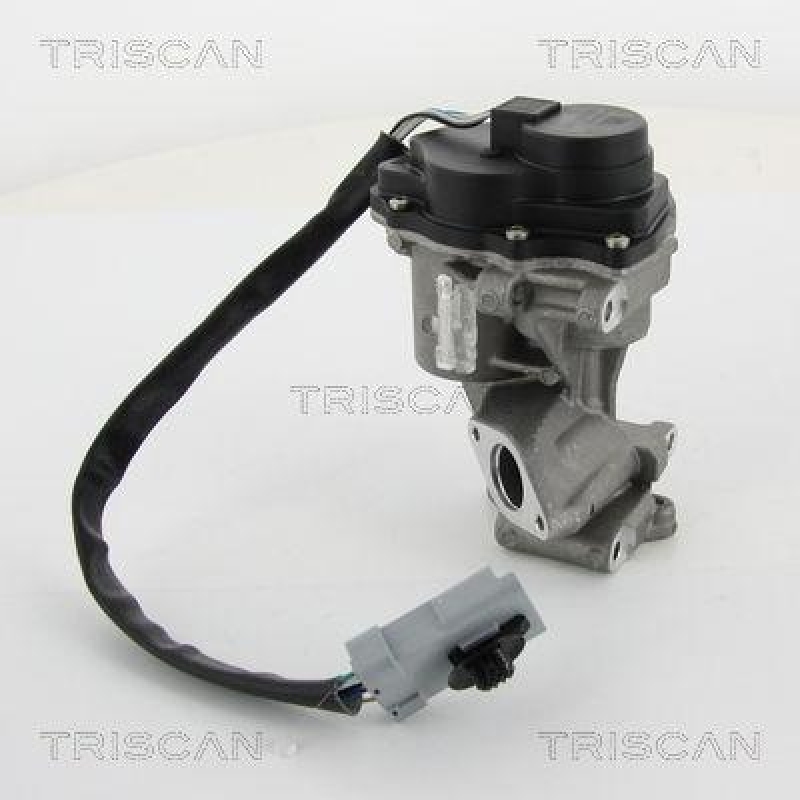 TRISCAN 8813 10202 Agr Ventil für Landrover Ford