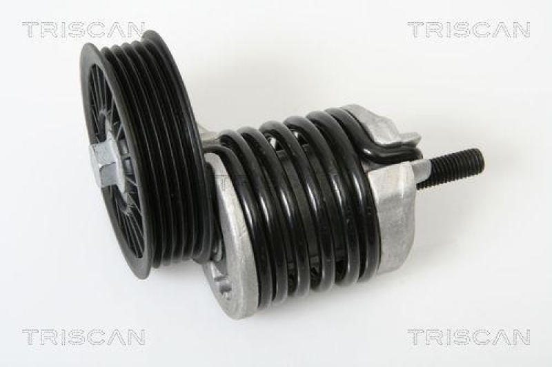 TRISCAN 8641 293011 Riemenspanneinheit für Audi