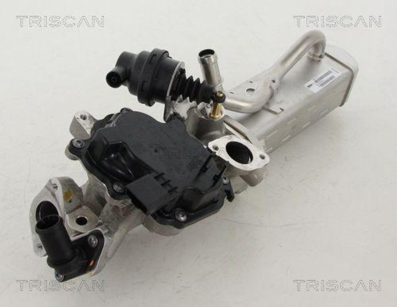 TRISCAN 8813 10203 Agr Ventil für Ford Volvo