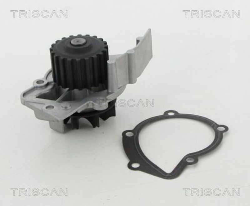 TRISCAN 8600 28010hd Wasserpumpe für Citroen, Peugeot