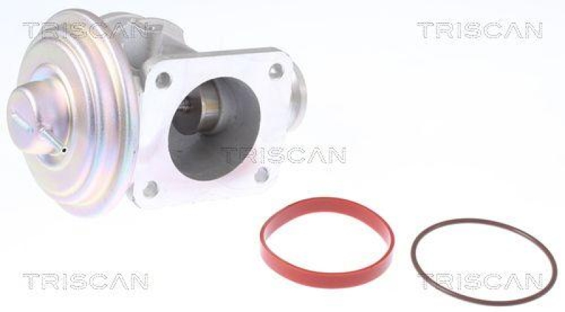 TRISCAN 8813 11004 Agr Ventil für Bmw