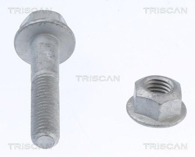 TRISCAN 8500 11400 Bolzensatz für Bmw