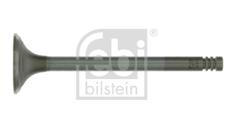 FEBI BILSTEIN 19635 Auslassventil für Ford