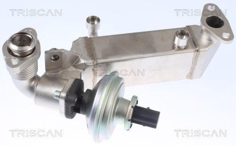 TRISCAN 8813 11009 Agr Ventil für Bmw