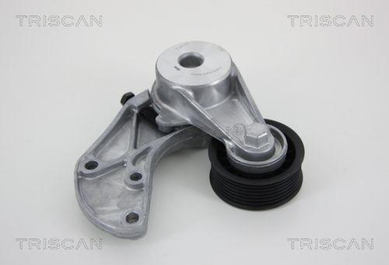 TRISCAN 8641 293034 Riemenspanneinheit für Audi, Vw