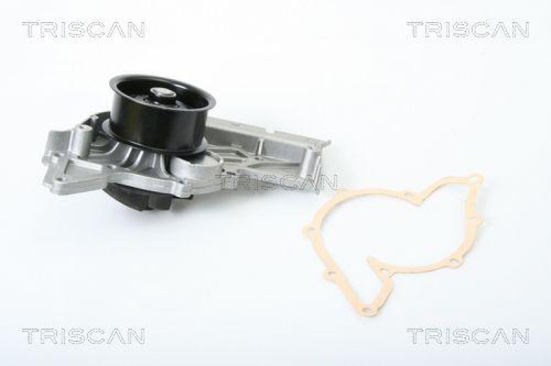 TRISCAN 8600 29039 Wasserpumpe für Audi