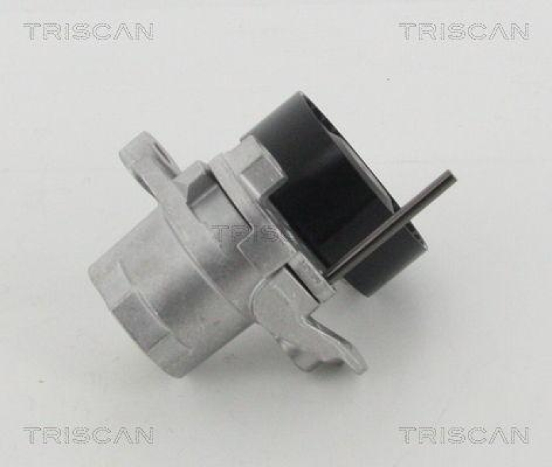 TRISCAN 8641 293053 Spannrolle für Vag