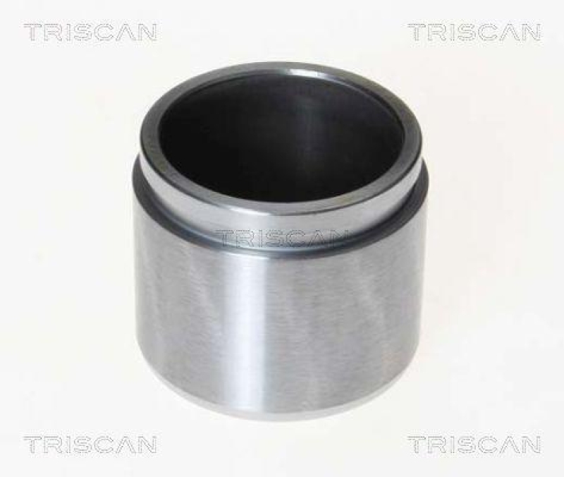 TRISCAN 8170 232007 Kolben für Honda, Rover, Suzuki