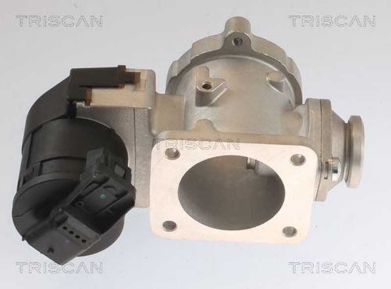 TRISCAN 8813 11020 Agr Ventil für Bmw