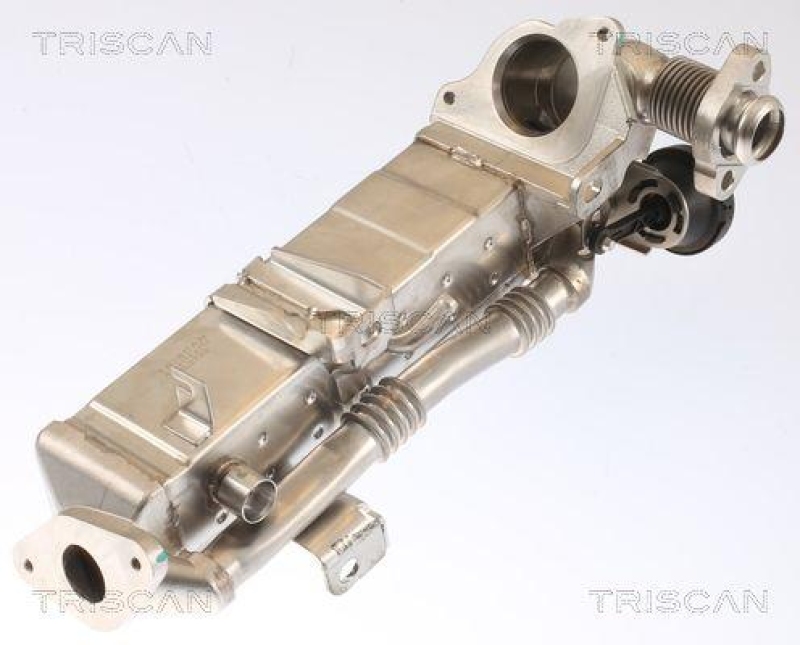 TRISCAN 8813 11021 für Bmw