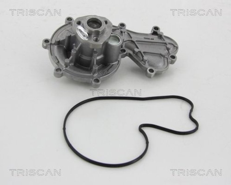 TRISCAN 8600 29058 Wasserpumpe für Audi