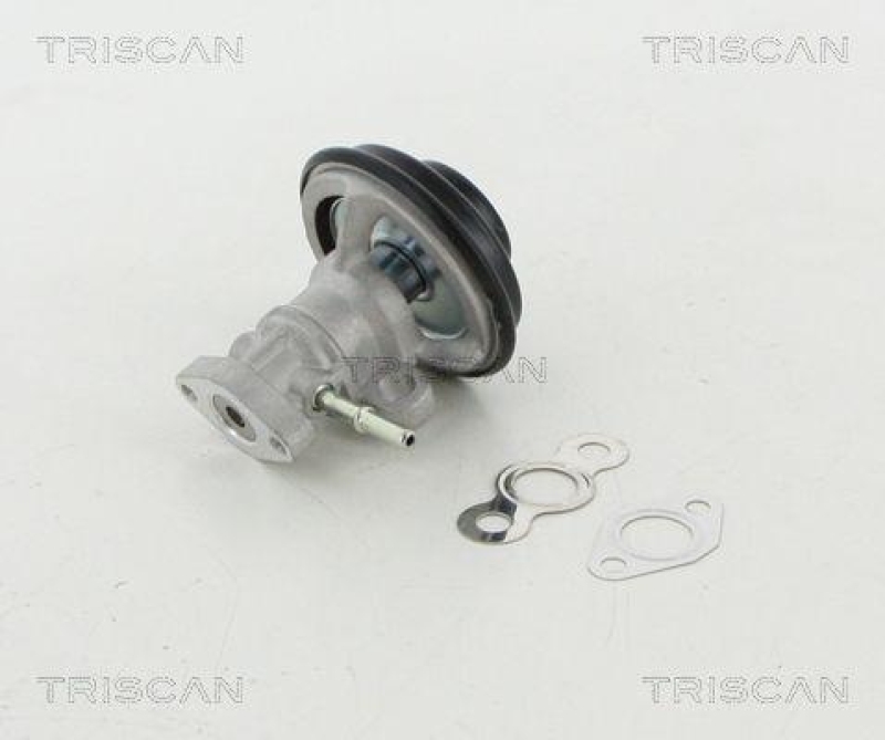 TRISCAN 8813 13030 Agr Ventil f&uuml;r Toyota