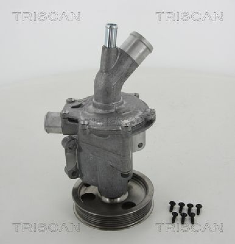 TRISCAN 8600 11966 Wasserpumpe für Mini