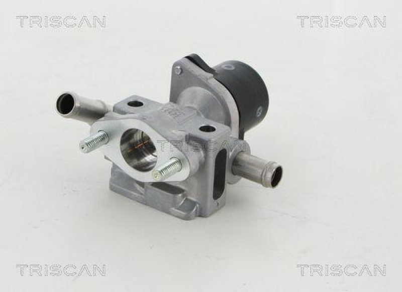 TRISCAN 8813 13052 Agr Ventil für Toyota