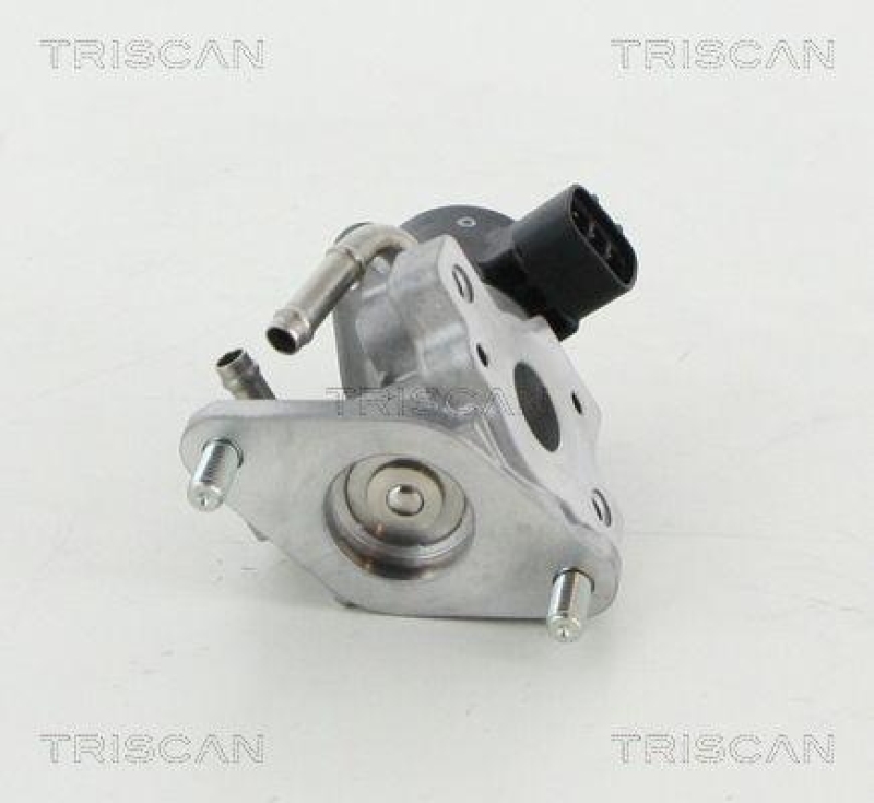 TRISCAN 8813 13057 Agr Ventil für Toyota