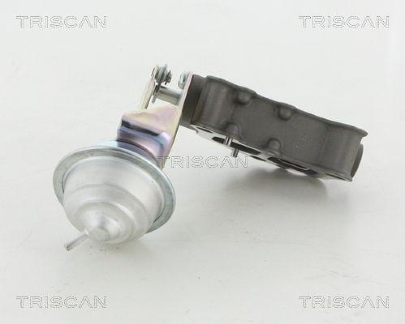 TRISCAN 8813 13058 Agr Ventil für Toyota