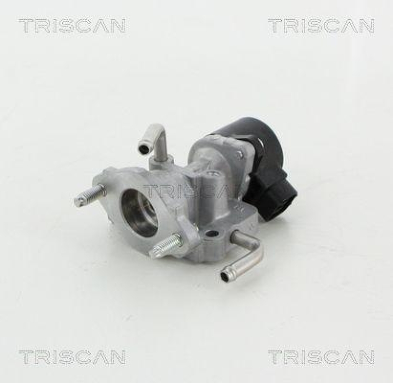 TRISCAN 8813 13059 Agr Ventil für Toyota