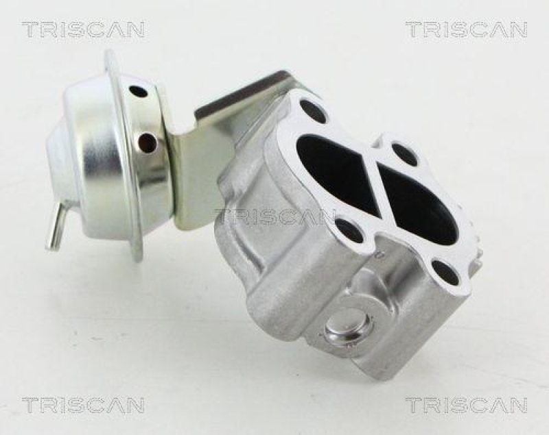 TRISCAN 8813 13060 Agr Ventil für Toyota